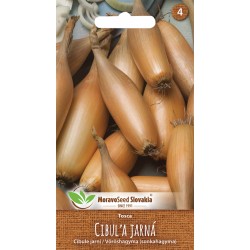CIBUĽA JARNÁ TOSCA